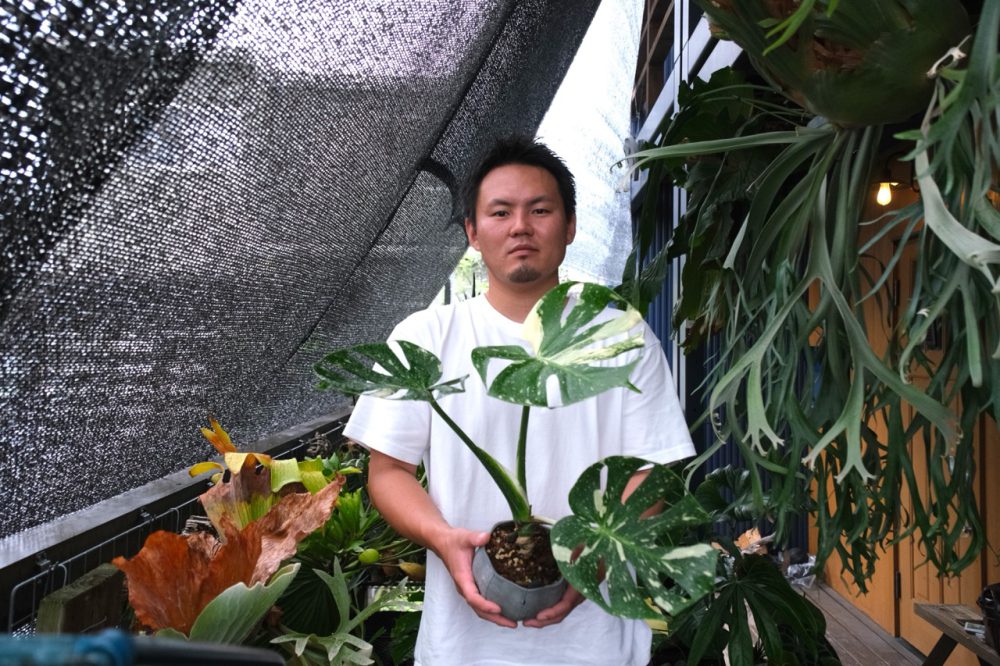 【観葉植物 × ナイフ】植物系インフルエンサー ボタジマさんに聞く、ナイフの使い方と植物の手入れ